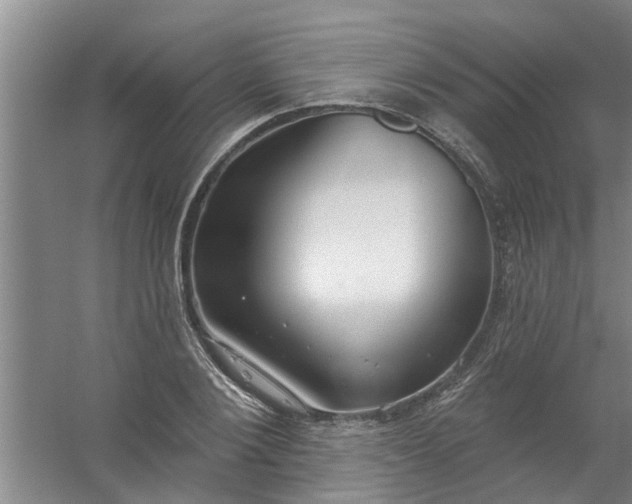 X0000059840884200511041810