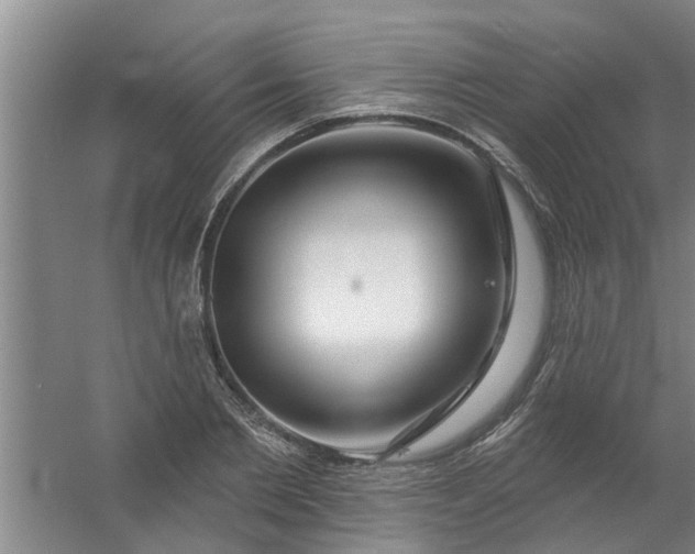 X0000059840885200511041810