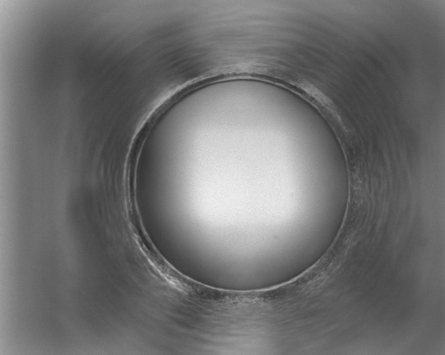 X0000059840886200511041810