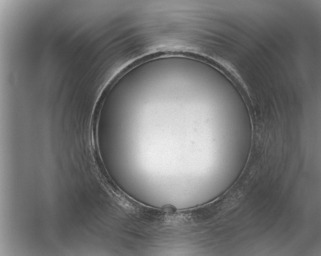 X0000059840887200511041810