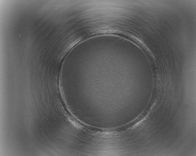 X0000059840889200511041810