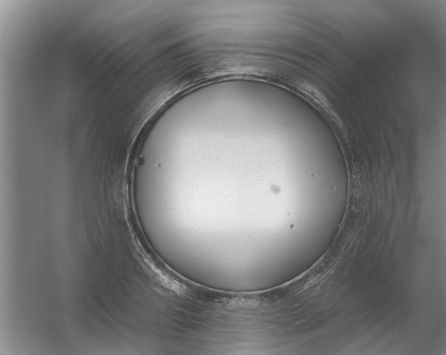 X0000059840890200511041810