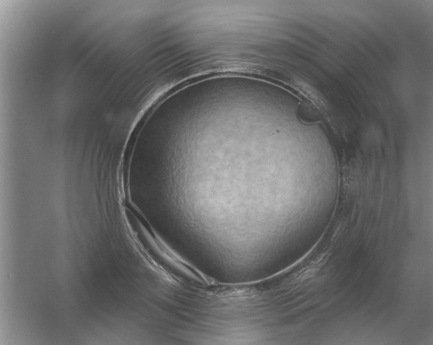 X0000059840891200511041810