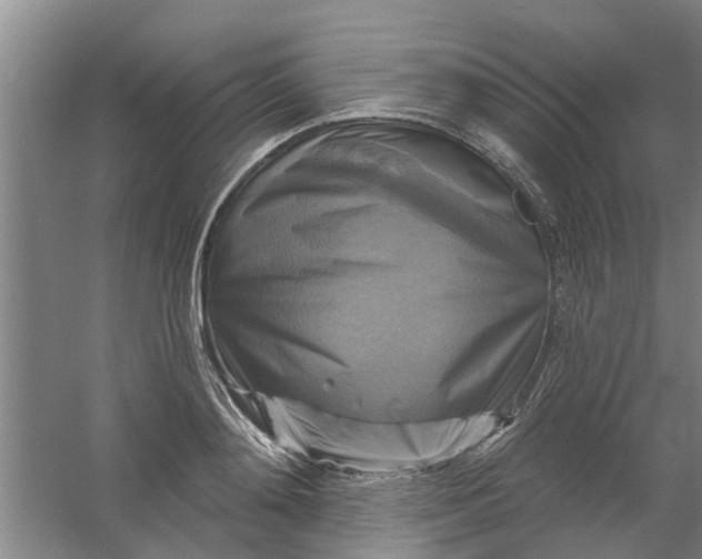 X0000059840892200511041810