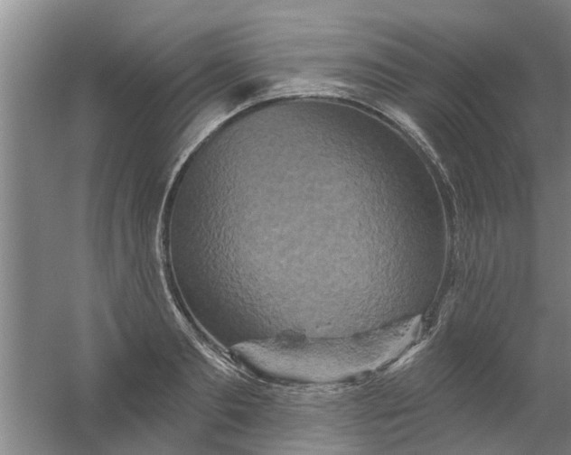 X0000059840893200511041810