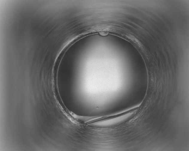 X0000059840894200511041810