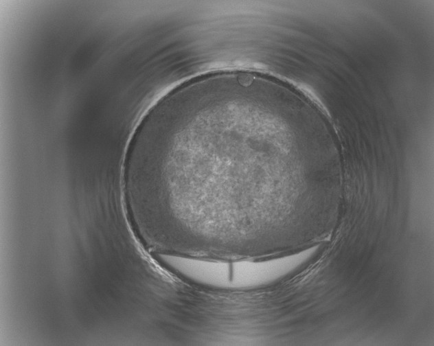 X0000059840895200511041810