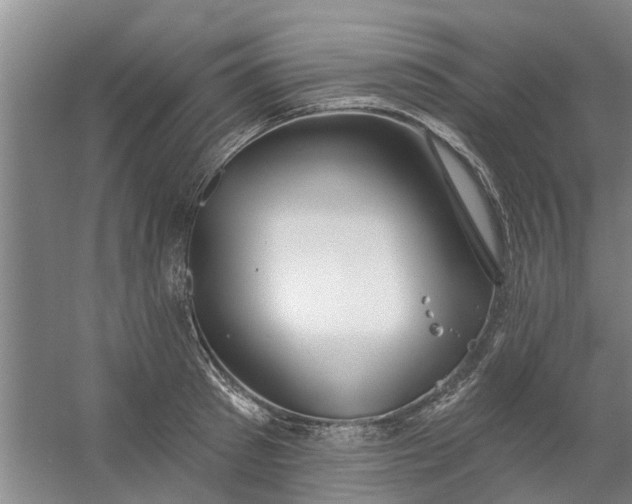 X0000059840897200511041810