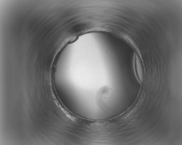 X0000059840898200511041810