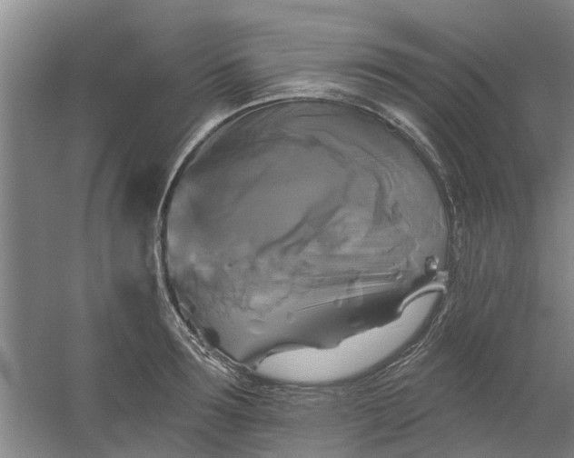 X0000059840899200511041810