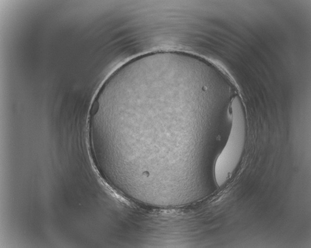 X0000059840903200511041810