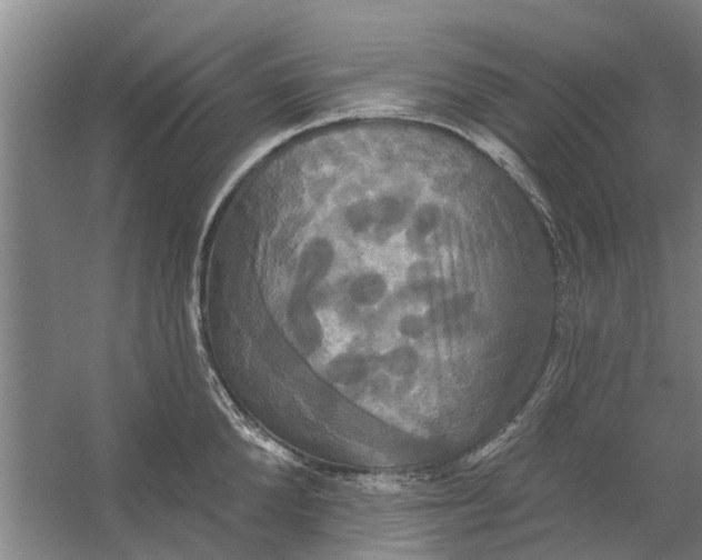 X0000059840904200511041810