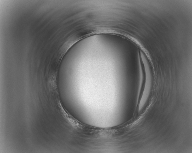 X0000059840905200511041810