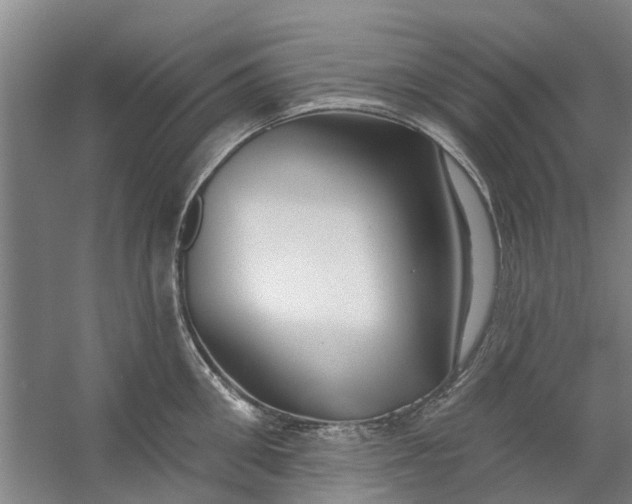 X0000059840906200511041810