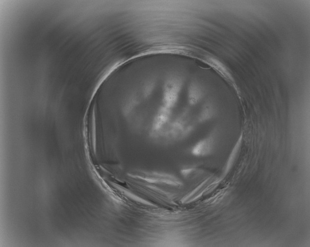 X0000059840907200511041810