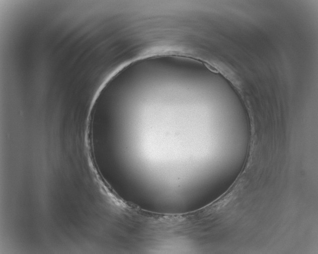 X0000059840912200511041810