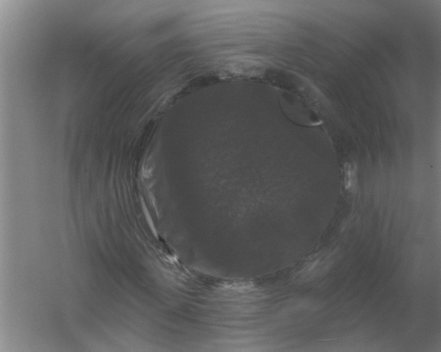 X0000059840915200511041809