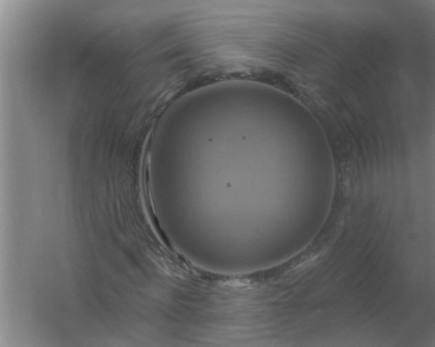 X0000059840916200511041809