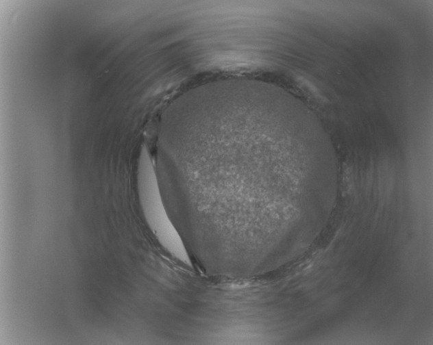 X0000059840917200511041809