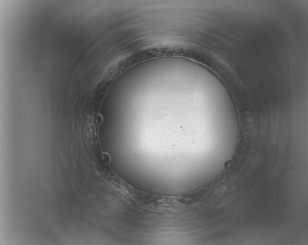 X0000059840918200511041809