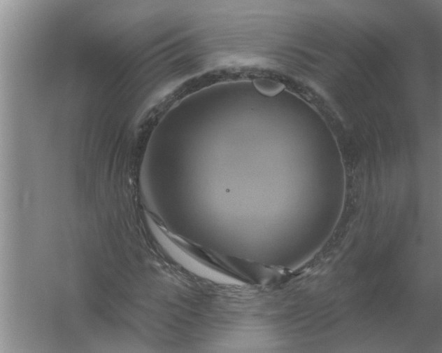 X0000059840919200511041809