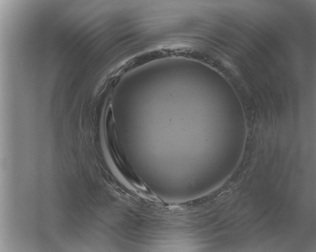 X0000059840920200511041809