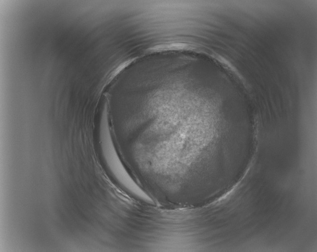 X0000059840921200511041809