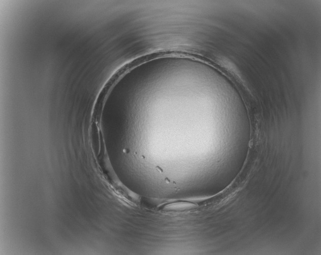 X0000059840924200511041809