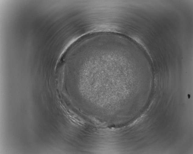 X0000059840925200511041809