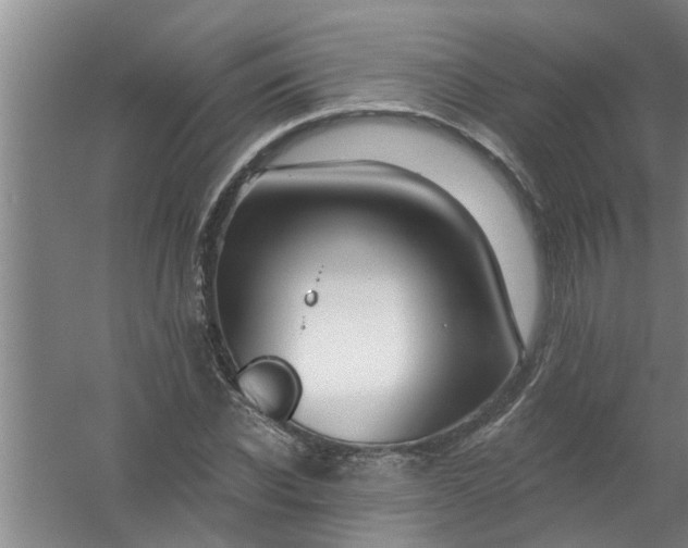 X0000059840926200511041809