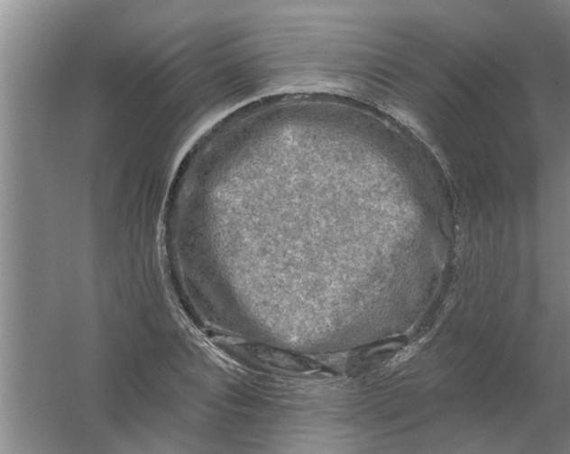 X0000059840928200511041809