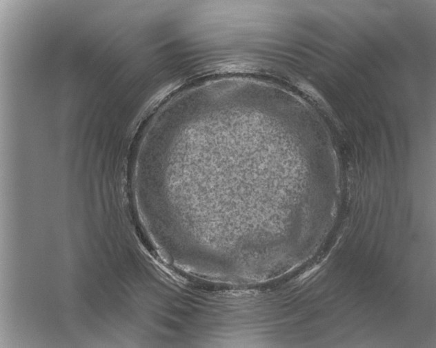 X0000059840930200511041809