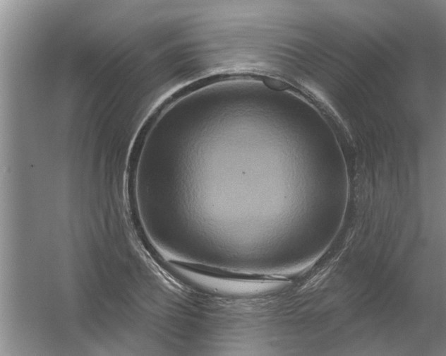 X0000059840932200511041809