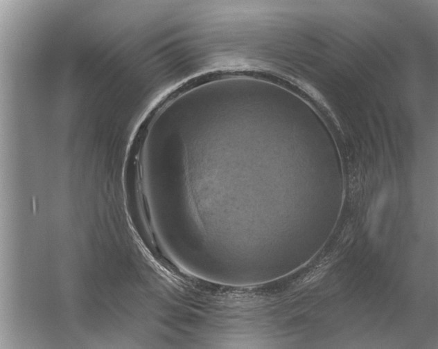 X0000059840935200511041809