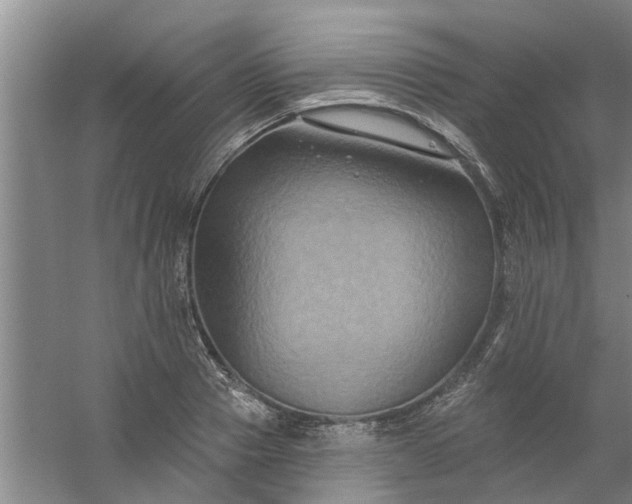 X0000059840937200511041809