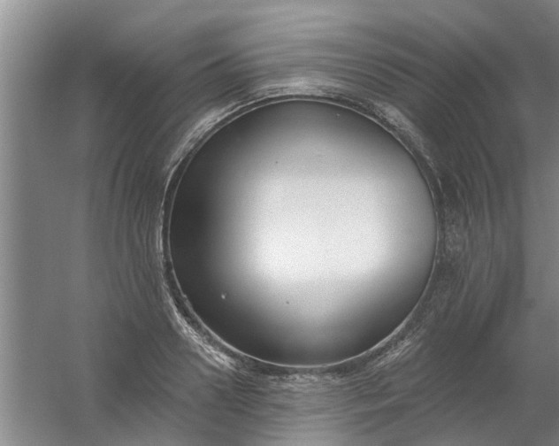 X0000059840938200511041809