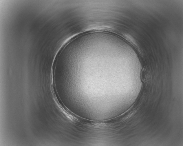 X0000059840940200511041809