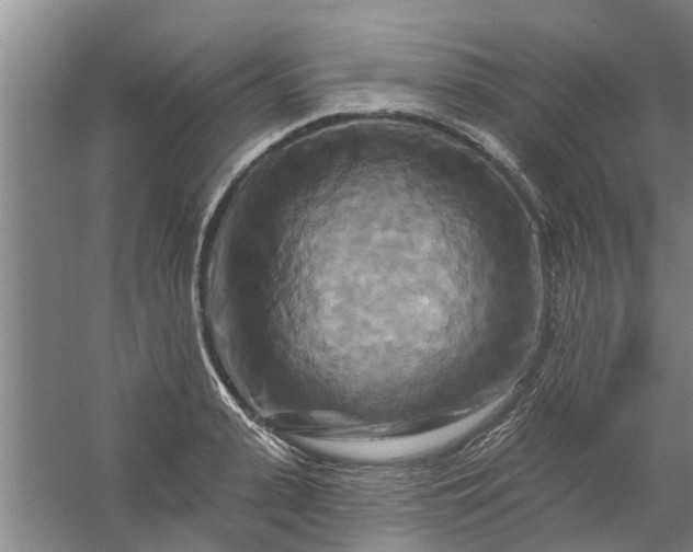 X0000059840943200511041809