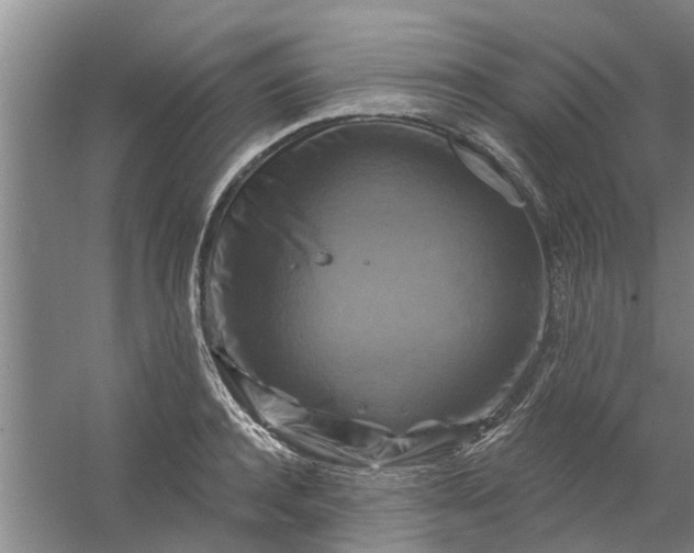 X0000059840944200511041809