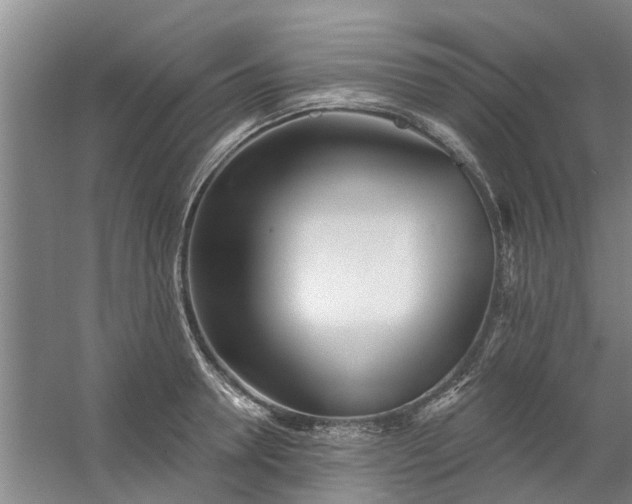 X0000059840946200511041809