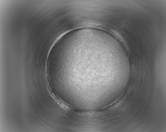 X0000059840948200511041809