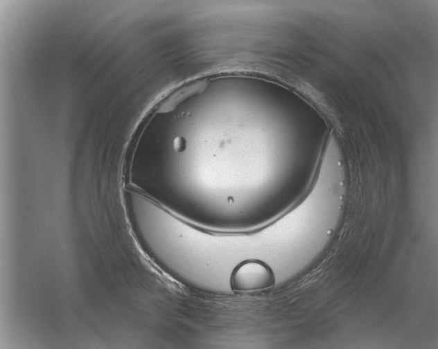 X0000059840950200511041810