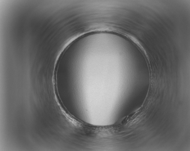 X0000059840951200511041810