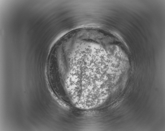 X0000059840952200511041810