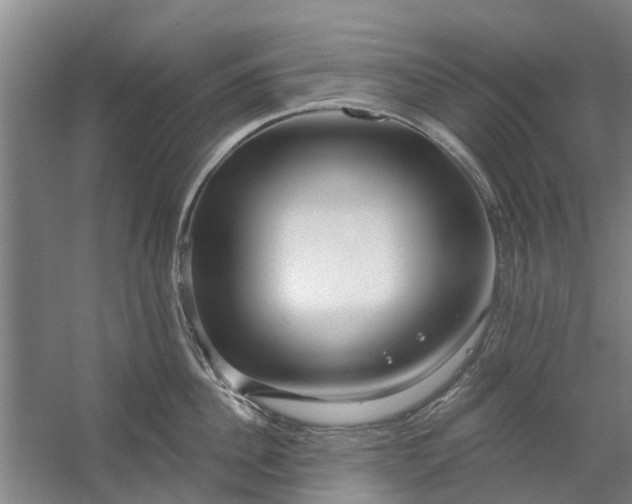 X0000059840956200511041810