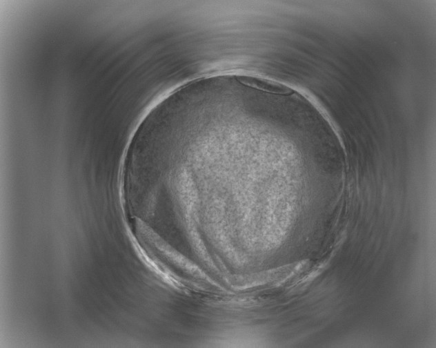 X0000059840957200511041810