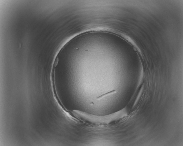 X0000059840959200511041810