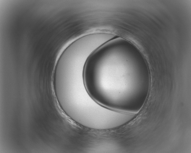 X0000059840960200511041810