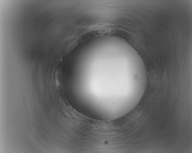 X0000059840962200511041809