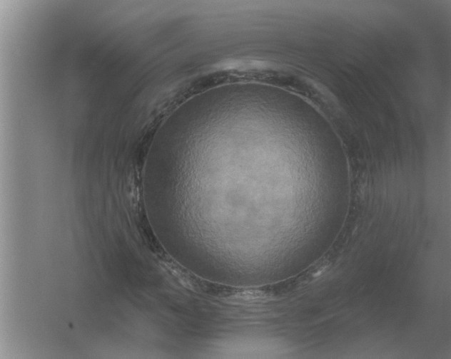 X0000059840966200511041808